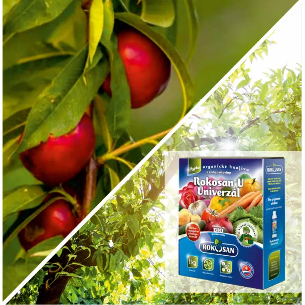 Pakiet Urban Garden: Nektaryna kolumnowa Aeris& nawóz organiczny