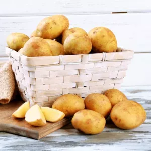 Ziemniaki sadzeniaki Agria