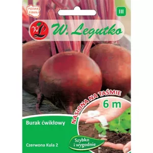 Burak ćwikłowy Czerwona Kula