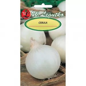 Cebula