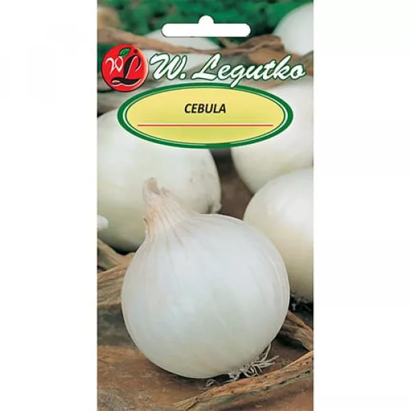 Cebula