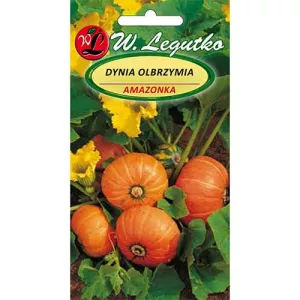 Dynia olbrzymia Amazonka