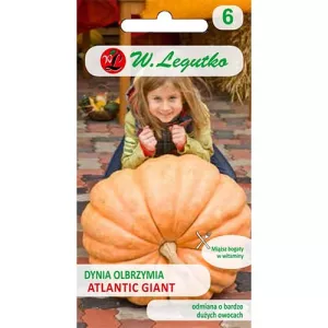Dynia olbrzymia Atlantic Giant