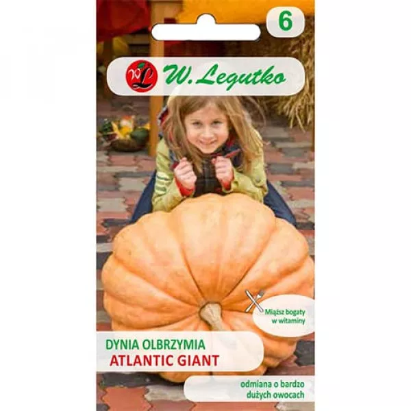 Dynia olbrzymia Atlantic Giant
