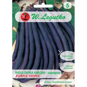 Fasola Purple Teepee
