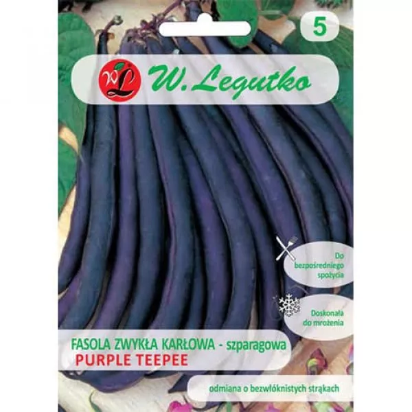 Fasola Purple Teepee