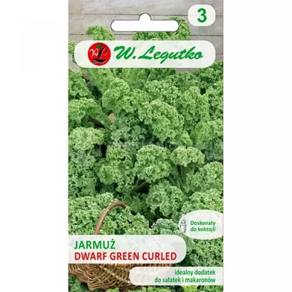 Jarmuż Green Curled
