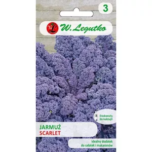 Jarmuż Scarlet