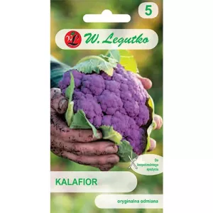 Kalafior Sicilia Violetto