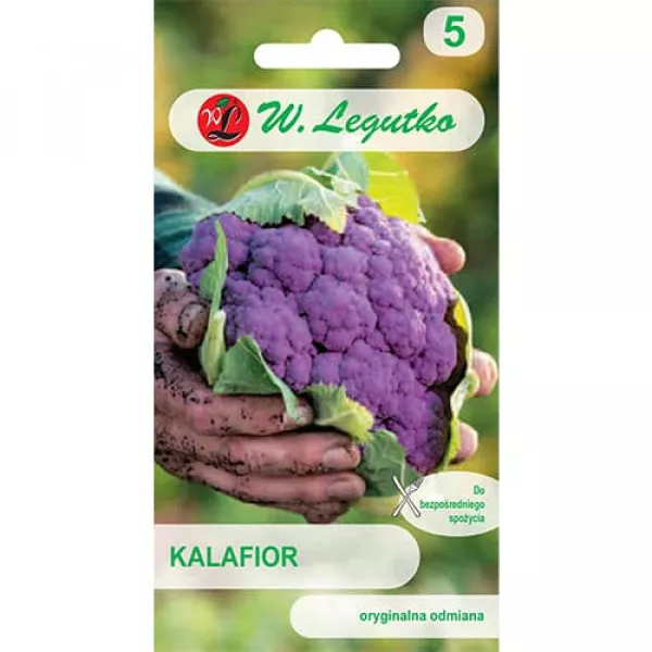 Kalafior Sicilia Violetto