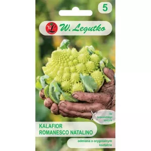 Kalafior Romanesco