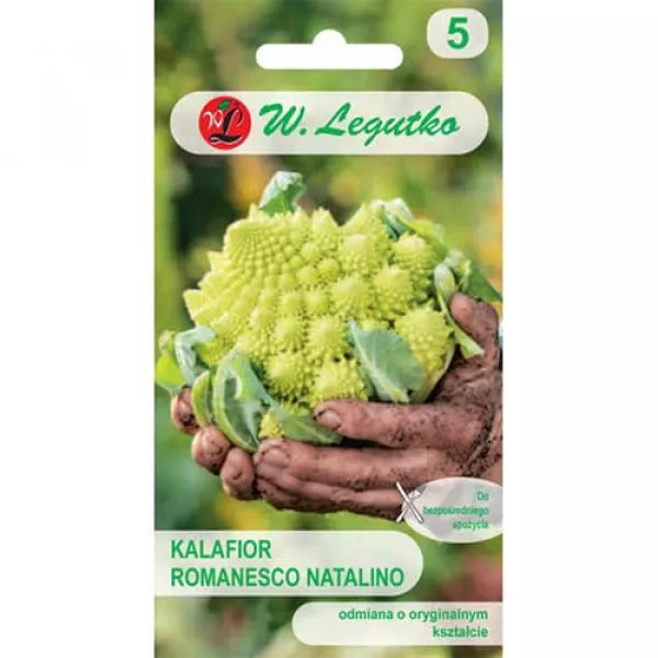 Kalafior Romanesco Kalafior Romanesco