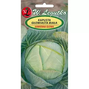 Kapusta Kamienna Głowa 2
