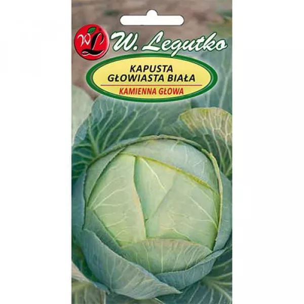 Kapusta Kamienna Głowa 2 Kapusta Kamienna Głowa 2