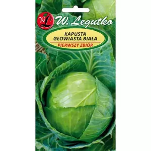 Kapusta Pierwszy zbiór