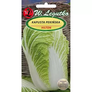 Kapusta pekińska Hilton
