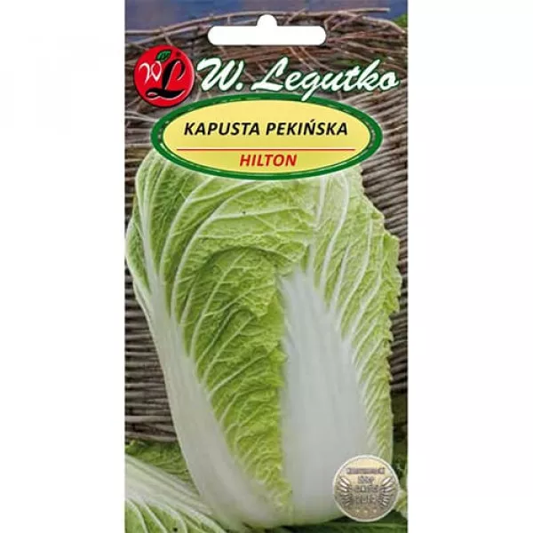 Kapusta pekińska Hilton