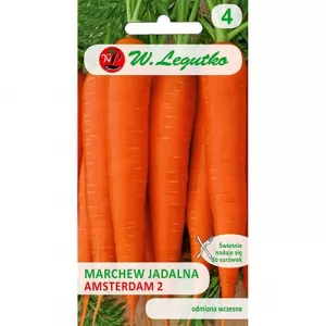 Marchew Amsterdam 2