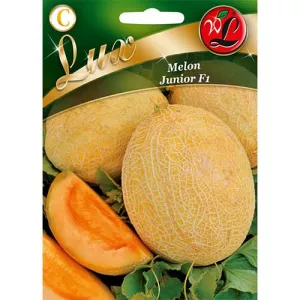 Melon Junior F1