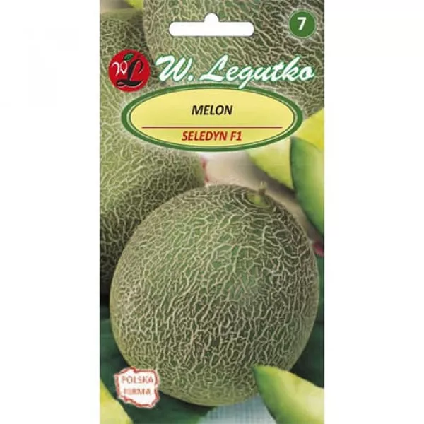 Melon Seledyn F1