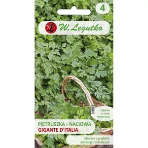 Pietruszka Gigante d'Italia