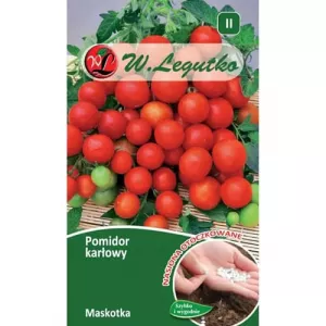 Pomidor Mascota 2