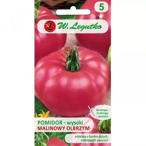 Pomidor Malina Gigant Pomidor Malina Gigant