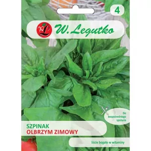 Szpinak Zimowy Olbrzym