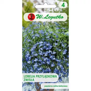 Lobelia zwisająca