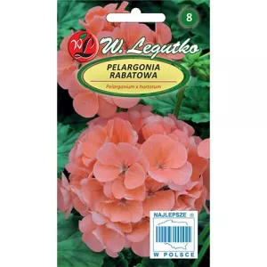 Pelargonia rabatowa łososiowa