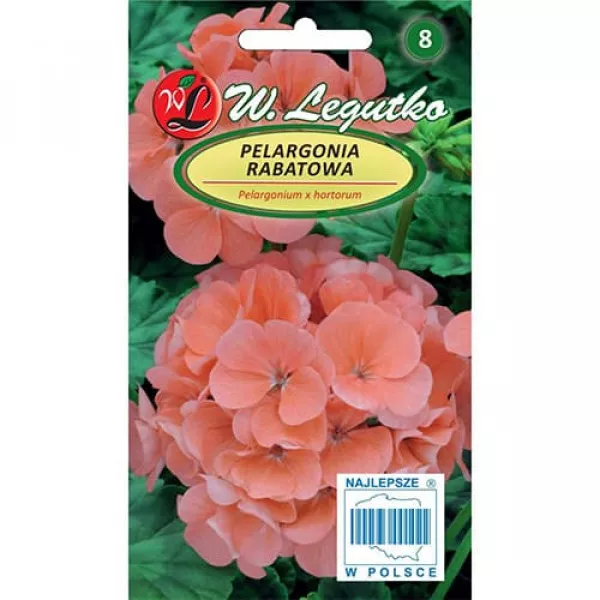 Pelargonia rabatowa łososiowa