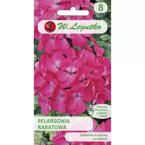 Pelargonia rabatowa różowa