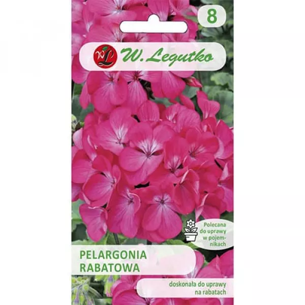 Pelargonia rabatowa różowa