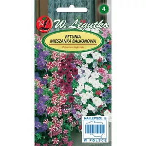 Petunia na balkon, mix kolorów