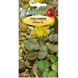 Mieszanka kolorów Żywe Kamienia