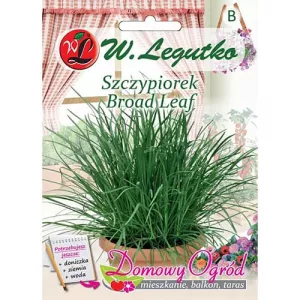 Szczypiorek szerokolistny