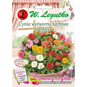 Cynia karłowa Pepito mix kolorów 