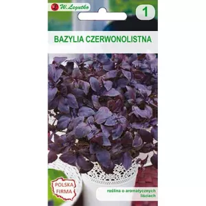 Bazylia czerwonolistna