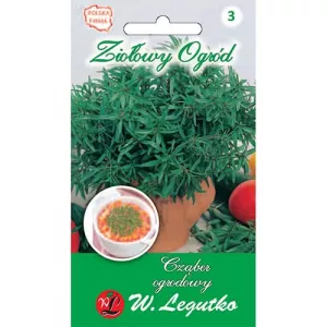 Cząber ogrodowy jednoroczny