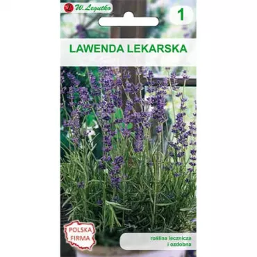 Lawenda