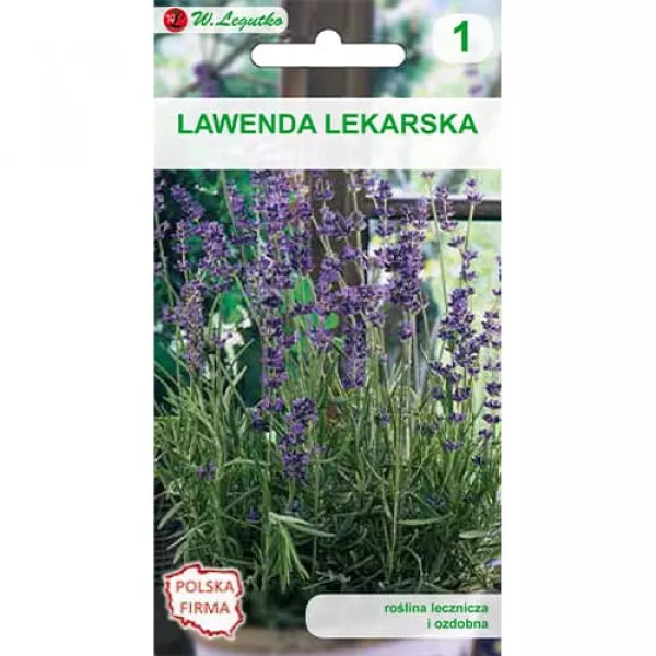 Lawenda