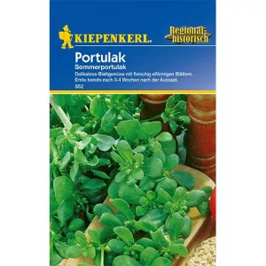 Portulaka gruba