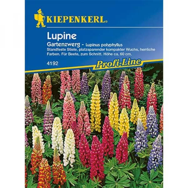 Łubin
