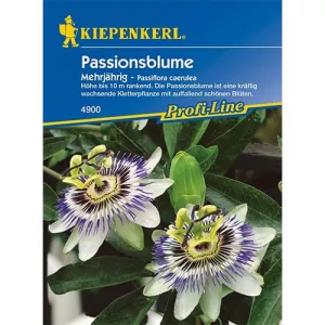 Męczennica (Passiflora)