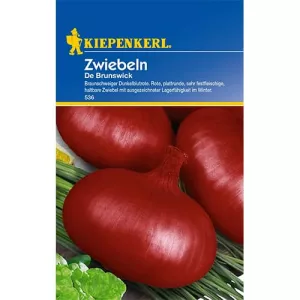 Cebula z Brunszwiku