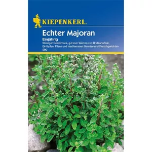 Majeranek jednoroczny