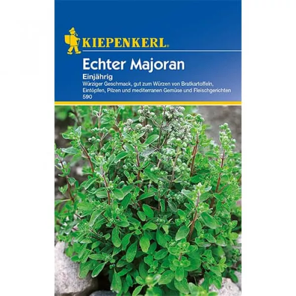 Majeranek jednoroczny