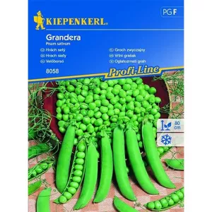 Groszek zielony Grandera