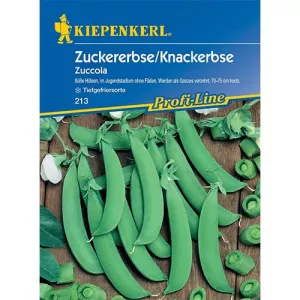 Groszek cukrowy Zuccola