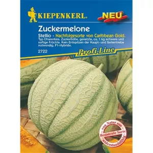 Melon Stellio F1